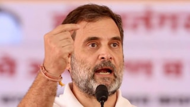 ‘Congress Could Have Won’: Inside Details Of What Angry Rahul Gandhi Said At Haryana Poll Debacle Review Meet