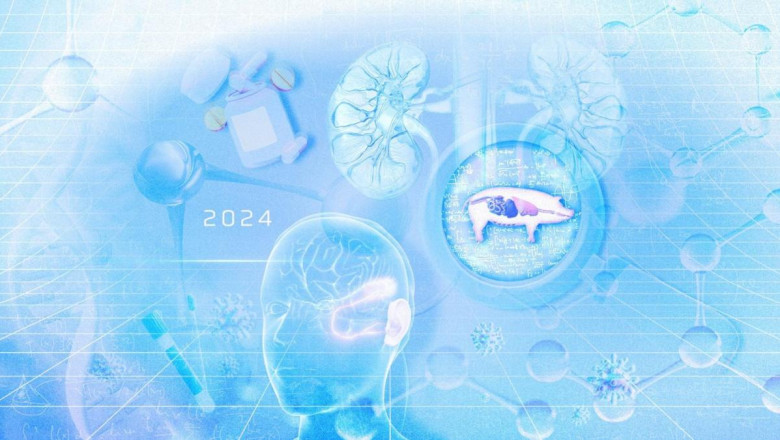 Pig kidney transplants, new schizophrenia drug: Here are 5 of the biggest medical breakthroughs in 2024