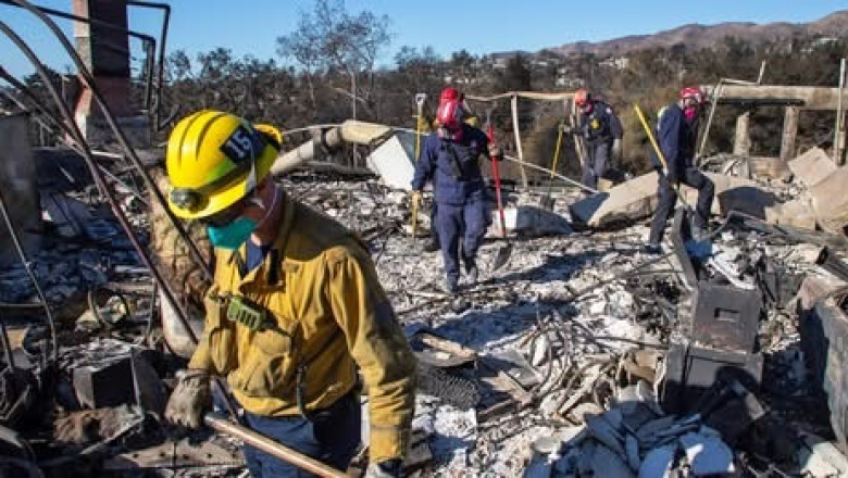 Navigating Disaster: June Isaacson Kailes’ Preparedness Journey