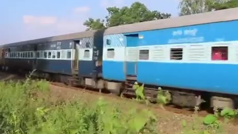 Close Call! Snake vs. Fast-Moving Train on the Tracks