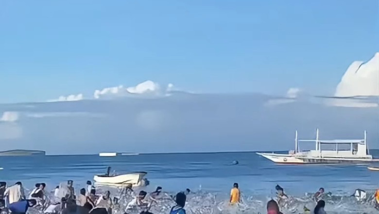 Thousands Of Sardines Take Flight: Mesmerizing Fish Ballet Captivates The Philippines And Astonishes Viewers Worldwide!