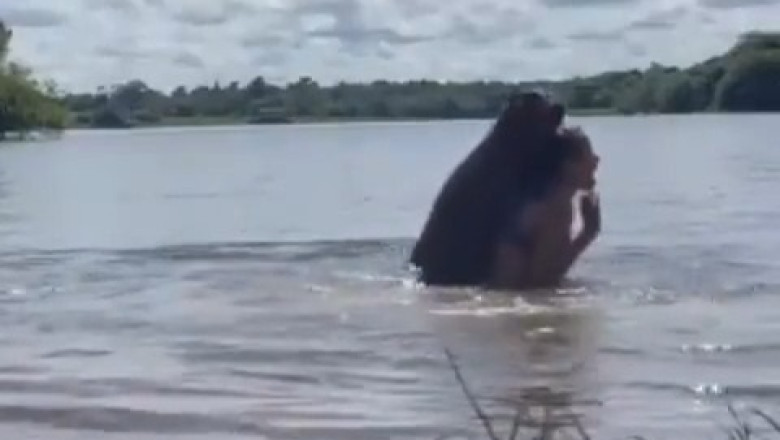 Shocking Encounter: Woman's Serene Swim Turns into a Wild Frenzy with Aggressive Capybara Attack