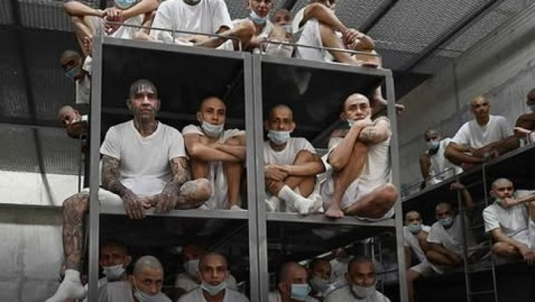 Exiled and Trapped: The Human Cost of Trump’s Migrant Prison Agreement