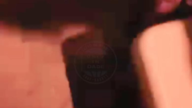 Heartbreaking Video of Dog Abuse Sparks Outrage and Calls for Justice