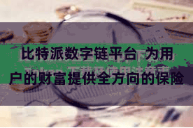 比特派数字链平台  为用户的财富提供全方向的保险