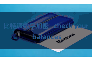 比特派数字加密   check your balances